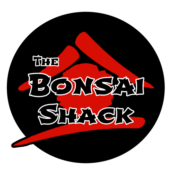 Bonsai-Shack